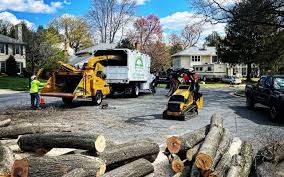 Best Tree Mulching  in Honeygo, MD